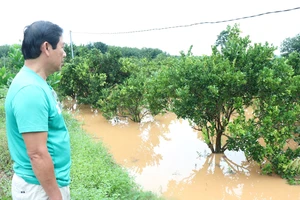 Lũ thượng nguồn đổ về gây ngập sâu nhiều nơi ở huyện Đồng Phú và TP Đồng Xoài