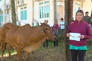 Bình Phước: Trao 174 con trâu, bò giống cho bà con tham gia dự án giảm nghèo gắn với quốc phòng – an ninh 