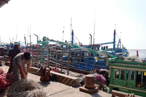 Ngư dân tỉnh Bình Thuận tất bật ra khơi trở lại sau cơn bão số 12.