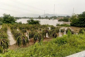 12 hồ chứa nước ở Bình Thuận đồng loạt xả lũ