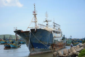 Bán đấu giá “con tàu ma” dạt vào biển Bình Thuận