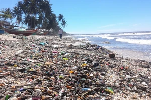 Bãi biển xinh đẹp ở vịnh Mũi Né ngập ngụa rác thải.
