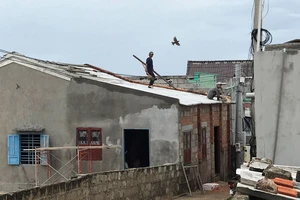 Người dân đảo Phú Quý đang khẩn trương gia cố nhà cửa. Ảnh: ĐỨC TÍN