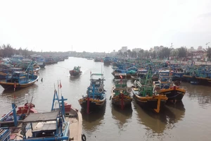 Ngư dân Bình Thuận tất bật chuẩn bị ra khơi sau bão