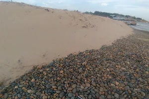 Khu vực bãi đá 7 màu và bãi rêu Bình Thuận bị xâm hại.