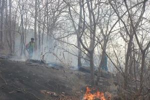 Đám cháy xảy ra rạiKhu bảo tồn thiên nhiên Tà Cú xảy ra trong nhiều giờ đồng hồ