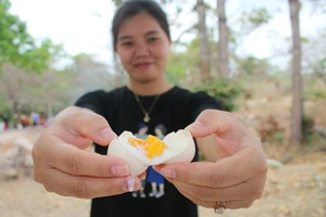 Trải nghiệm luộc trứng gà tại suối nước nóng Bưng Thị.