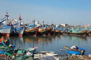 Bình Thuận chấn chỉnh các tàu cá và phương tiện thủy nội địa.