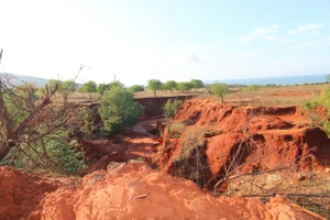 Lũ cát đã làm khu đất thuộc Dốc Mả (xã Hòa Thắng, huyện Bắc Bình, tỉnh Bình Thuận) bị xé toạc.