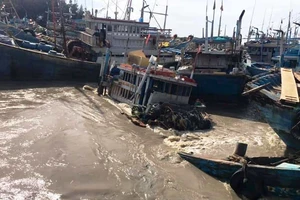 Hàng chục tàu thuyền của ngư dân thị xã La Gi bị nước lũ cuốn trôi trong đêm.