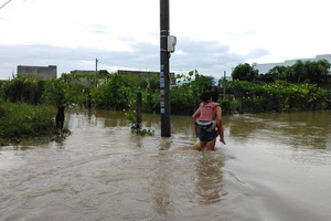 Mưa lớn khiến nhiều nơi của tỉnh Bình Thuận bị ngập lụt.
