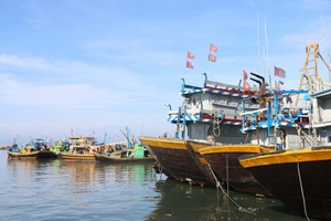 Ninh Thuận và Bình Thuận cấm tất cả tàu thuyền ra biển để chủ động ứng phó áp thấp nhiệt đới.