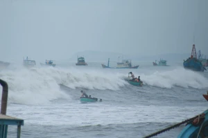 Bình Thuận: Sóng lớn làm chìm 5 tàu cá, 1 người chết