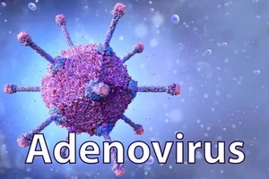 Adenovirus là tác nhân virus thường gây nên tình trạng viêm ở hệ thống hô hấp 
