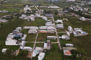 Một trong những khu đất tại xã Phong Nẫm (TP Phan Thiết) thuộc 132 thửa đất từng là tang vật của một vụ án