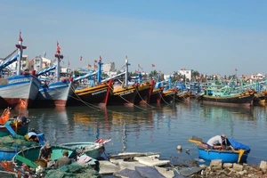 Tỉnh Bình Thuận hiện có khoảng trên 7.500 tàu cá chiều dài từ 6m trở lên hoạt động trên biển