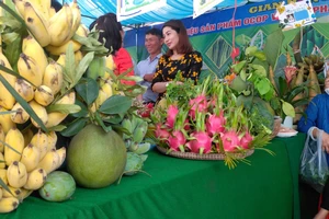 Những sản phẩm nông nghiệp đặc thù, đặc biệt là trái thanh long của huyện Hàm Thuận Bắc.