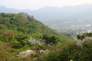 Một góc Vườn quốc gia Núi Chúa, tỉnh Ninh Thuận
