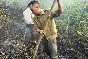 Lực lượng chức năng phối hợp người dân dập lửa cháy rừng tại thôn 11, xã Đại Lào, TP Bảo Lộc, tỉnh Lâm Đồng. Ảnh: ĐOÀN KIÊN