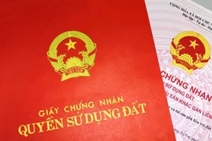 UBND tỉnh Long An yêu cầu huyện Tân Hưng rà soát, giải quyết cấp giấy sử dụng đất cho người dân