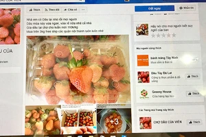Trang bán hàng trực tuyến “Chợ dâu của Viên” được nhiều khách hàng ghé thăm