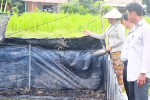 Lãnh đạo Hội Nông dân xã Hưng Thuận đến tham quan trang trại ếch của gia đình chị Lập