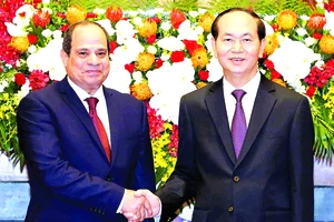 Đưa kim ngạch thương mại song phương Việt Nam - Ai Cập đạt 1 tỷ USD