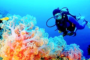 Indonesia là nơi lặn tuyệt vời nhất thế giới