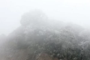 Xuất hiện băng tuyết tại đỉnh Mẫu Sơn, Lạng Sơn