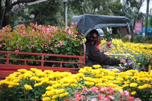 Người dân Cố Đô đội mưa đi chợ hoa Tết