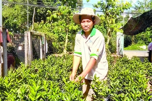 Anh Nguyễn Ngọc Thuận ở xã Hòa Long, huyện Lai Vung (Đồng Tháp) mua được đất vườn, mở cửa hàng vật tư nông nghiệp từ tiền xuất khẩu lao động