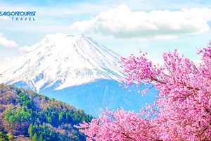Núi Phú Sỹ, biểu tượng nổi tiếng của Nhật Bản
