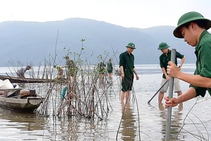 Người dân và bộ đội biên phòng Thừa Thiên- Huế trồng ngập mặn nơi bờ biển sạt lở