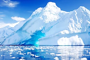 Dự án cứu băng ở Nam cực