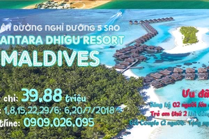 Lên kế hoạch du lịch hè Châu Âu với TST TOURIST