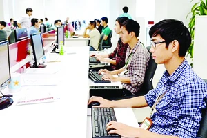 Các lập trình viên làm việc tại Công viên phần mềm Quang Trung. Ảnh: VIỆT DŨNG