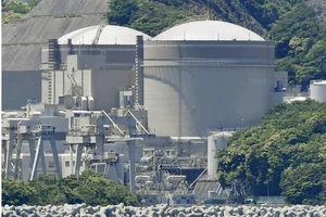 Nhà máy điện hạt nhân Oi. Ảnh: Kyodo)
