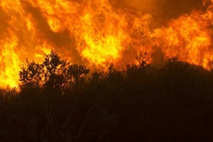 Cháy rừng lan rộng ở California, 7 người chết