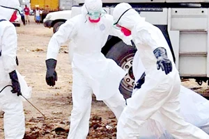 Dịch Ebola lại bùng phát