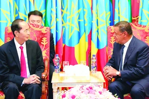 Chủ tịch nước Trần Đại Quang hội đàm với Tổng thống Mulatu Teshome. Ảnh: TTXVN