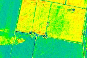 Lập bản đồ cây trồng bằng ảnh vệ tinh