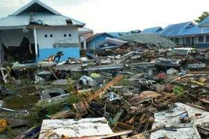 Sau động đất, sóng thần ở Indonesia, số người chết đã tăng lên 832 người
