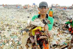 Indonesia gom lượng rác thải khổng lồ ở quần đảo Thousand