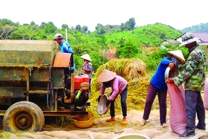 Với logo thương hiệu, tương lai gạo Việt Nam sẽ được người tiêu dùng nhiều nước biết đến