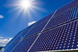 Khu Công nghệ cao TPHCM thêm dự án pin năng lượng mặt trời 150 triệu USD 
