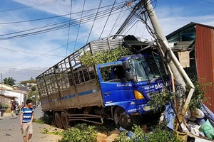 Sau khi tông sập 2 nhà dân, xe tải ủi bay dãy cây và chỉ dừng lại khi tông gãy trụ điện