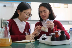 Phạm Thu Phương và Nguyễn An Cát Uyên thực hiện đề tài nghiên cứu trồng nấm từ phế thải hoa cúc và mùn cưa
