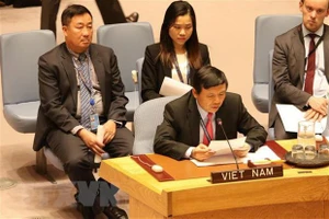 Phái đoàn đại diện thường trực Việt Nam tại Liên hợp quốc tham dự một phiên thảo luận. Ảnh: Hữu Thanh/TTXVN