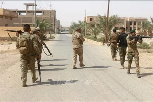 Các lực lượng Iraq trong chiến dịch truy quét IS tại tỉnh Anbar. Ảnh tư liệu: AFP/TTXVN