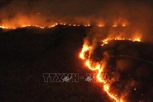 Các đám cháy tại rừng mưa Amazon ở bang Tocantins, Brazil, ngày 17-8